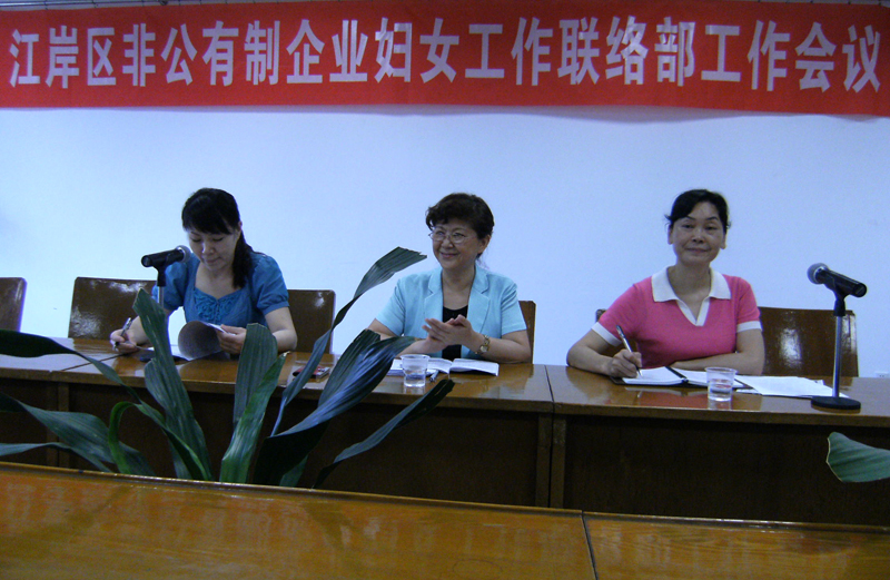 湖北東信醫(yī)藥有限公司參加江岸區(qū)非公企業(yè)婦女工作聯(lián)絡部工作會議