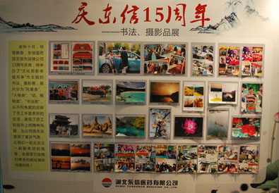 “文化剪影 幸福共享”——慶東信15周年書法、攝影展