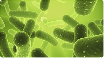 你知道陰道清潔度反映什么嗎？