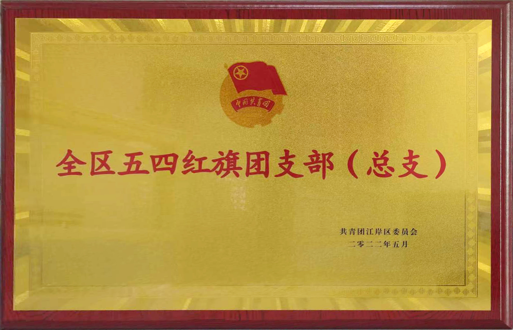 共青團(tuán)成立100周年之際，東信醫(yī)藥團(tuán)支部喜獲武漢市江岸區(qū)“全區(qū)五...