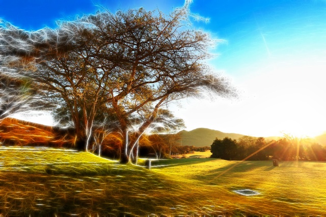 第二波疫情來襲？送你一份養(yǎng)肺指南