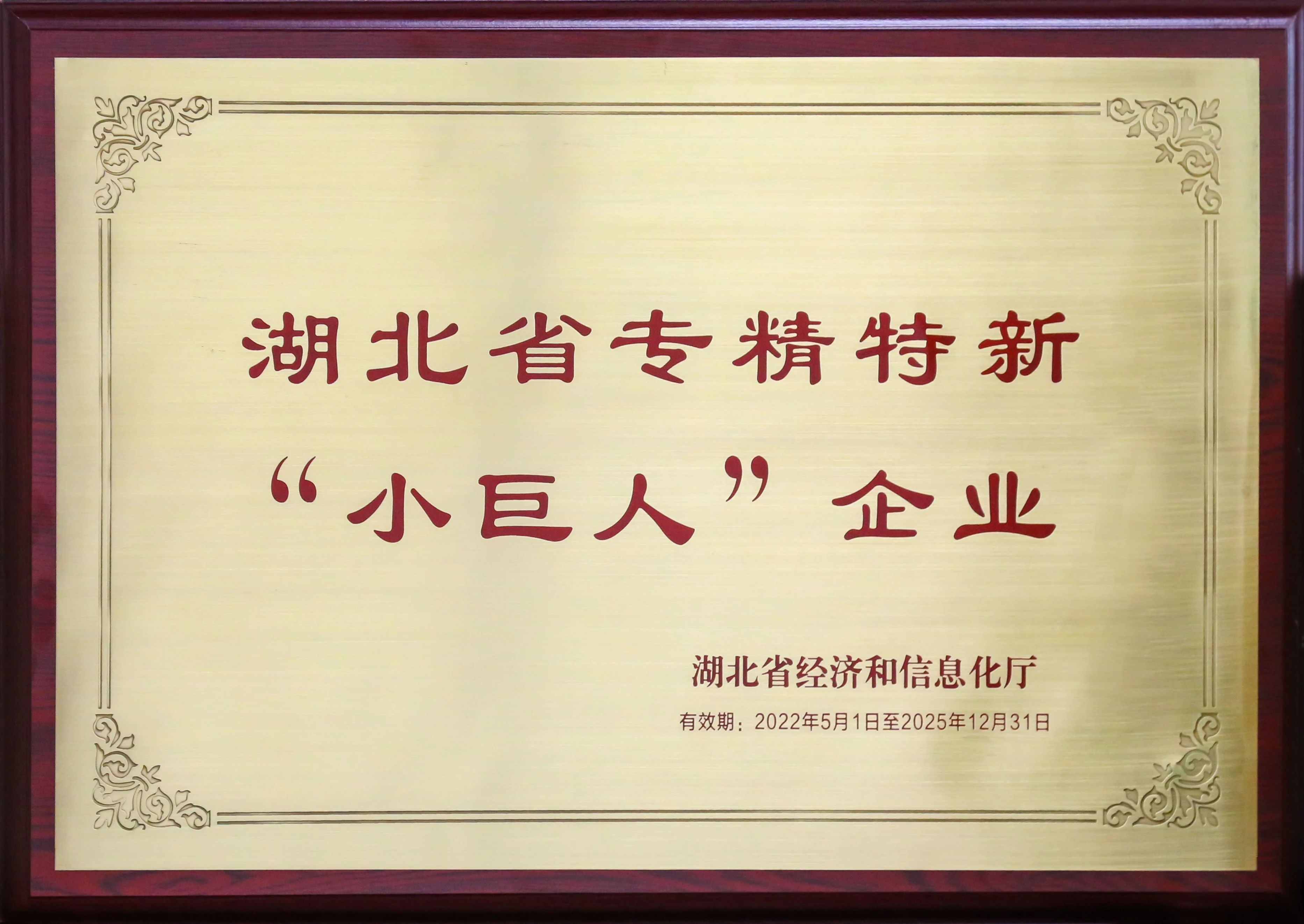 盤點新疆26省聯盟集采，湖北東信擬中選（婦科）品種數量名列榜首